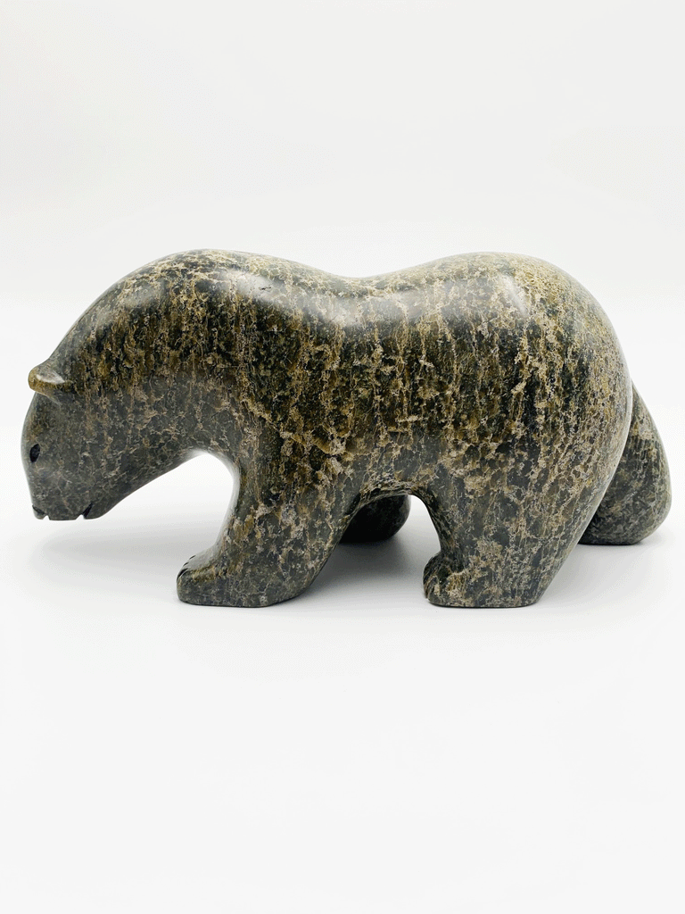 A walking bear stares ponderously at something on the ground ahead of it. This piece is carved from green and brown soapstone. The natural mottling of the stone complements the artist's smooth lines for an elegant and expressive piece. This bear faces left.