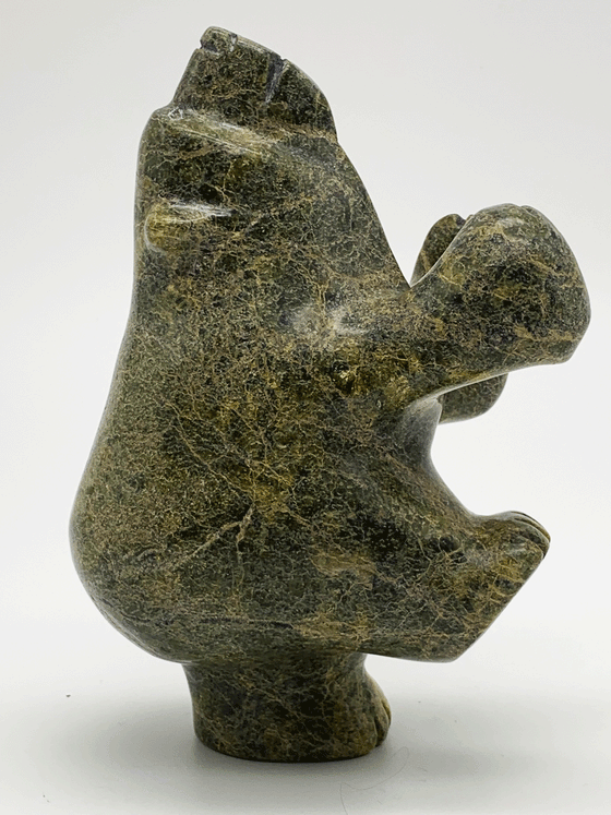 "Dancing Bear" - Samonie Taqiasuk