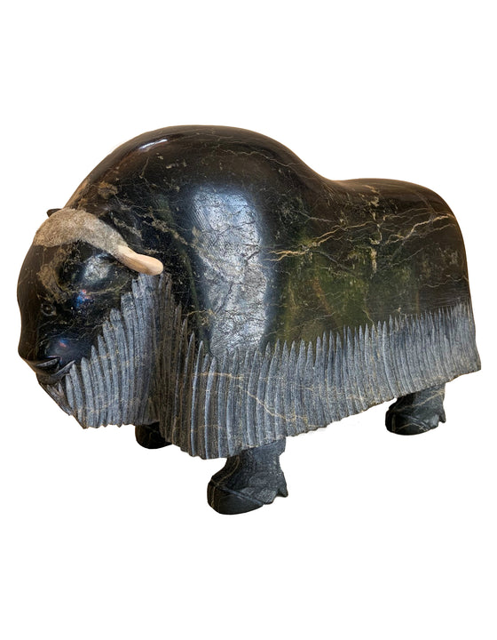 A muskox carved from dark green soapstone. Etched fringe along its lower part suggests the muskox's shaggy fur. Its horns are muskox horn attached to the stone.