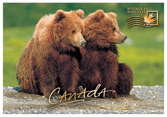 2 bears sitting on a rock with a green background. Gold text at the bottom middle that says "Canada". Gold text in the top corner that says "paid postage." 