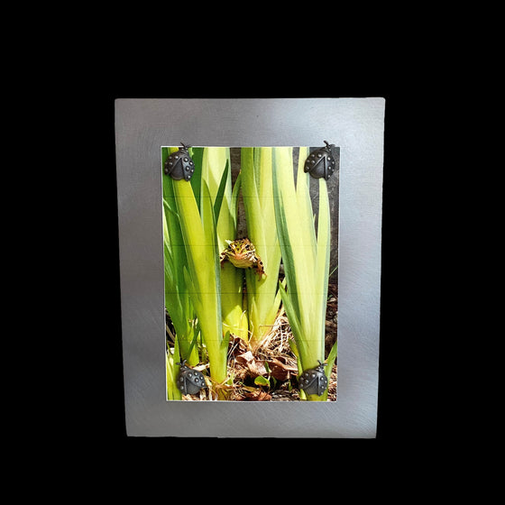 A vertical rectangular metal picture frame with four lady bug shaped pewter magnets that hold a picture of a small frog in some grass.