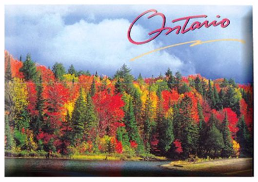 Ontario Forest and Lake Magnet