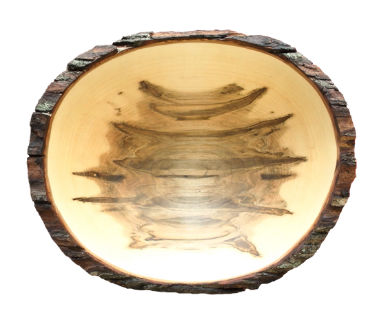 A top view of a bowl carved from a single piece of ambrosia maple. The bowl is raw edged, and shows the original dark brown bark from the tree. The base of the bowl prominently shows the signature grey-brown streaks left by passing ambrosia beetles.