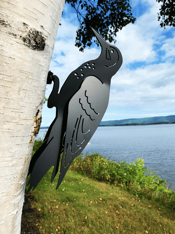 This metal sculpture shows the matte black silhouette of a flicker mounted on a birch tree by a river. Delicately punched metal provides the details of the face, wings and chest. The wings are bent slightly away from the body, rendering the bird three dimensional. The flicker is mounted to the tree by its feet by means of a nail or screw.