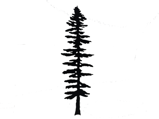 An individual sitka pine tree sculpture.