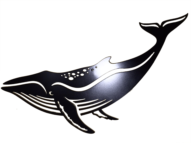 This metal sculpture shows the matte black silhouette of a humpbacked whale. Metal has been punched out of this piece to create the stripes of the belly and the characteristic bumps on the back and fins. Perspective creates the illusion that the what is looking back at the viewer as it swims away to the left.