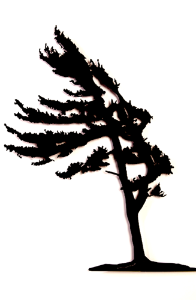 This metal sculpture shows the matte black silhouette of a pine tree being blown in the wind. It leans slightly to the left, branches flowing elegantly. Its straight trunk and fully foliage give an impression of hardiness and strength despite the strong wind. 