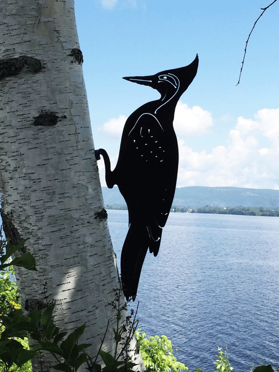 This metal sculpture shows the matte black silhouette of a woodpecker mounted on a birch tree by a river. Delicately punched metal provides detail to the face and wings. The bird has a tall head crest similar to a pileated woodpecker. The woodpecker is mounted to the tree by its feet by means of a nail or screw.