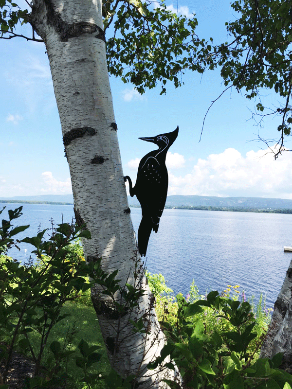 The same woodpecker sculpture shown at a distance.