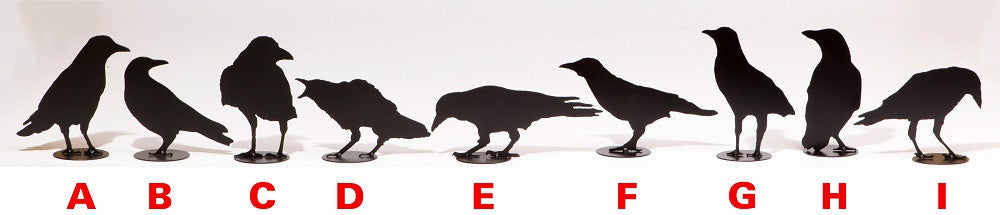 Nine different designs of crow sculptures. Each metal art sculpture features the silhouette of a crow painted matte black, with a small circular base. The delicate outline of the silhouette gives the impression of real feathers.