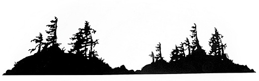 This metal sculpture shows the matte black silhouette of two rugged islands connected by a small land bridge.  Weathered trees emerge from the dense shrubbery of the islands. The trees have broken branches and their rough leaves grow to one side, suggesting they live in a harsh, windy place. The highly detailed edges give this piece a strong sense of realism. 