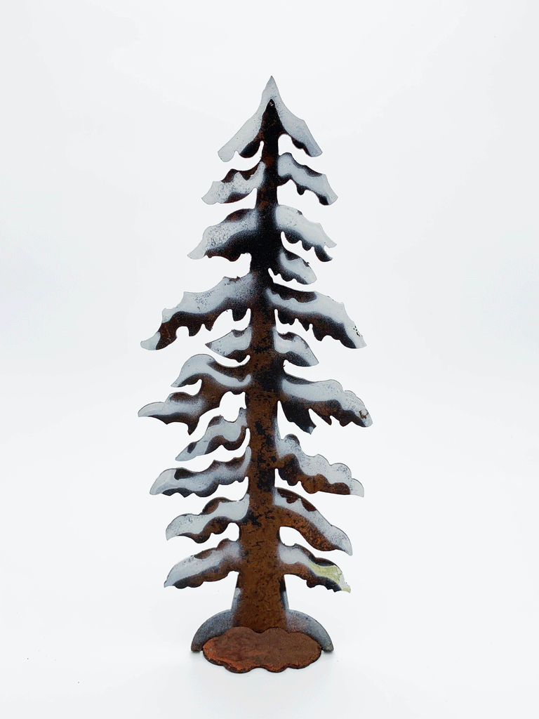 Weathered Snow Covered Pine Trees