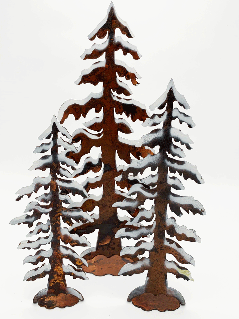 Weathered Snow Covered Pine Trees