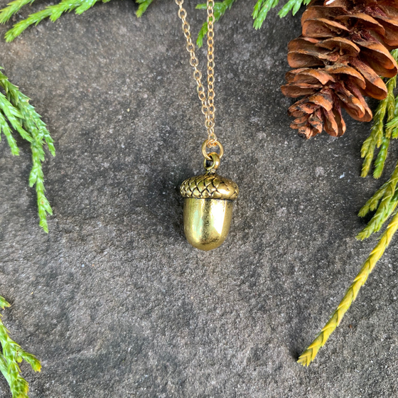 A small gold acorn charm on a gold chain sits on a stone background.  The gold has a bright finish. Around the picture are decorative evergreen leaves and a pine cone.