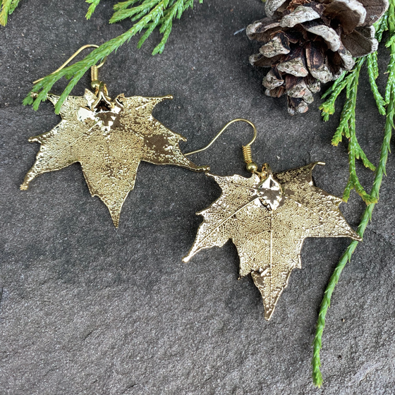 Two small gold coated maple leaves sit on a stone background. Each maple leaf has a gold earring hook attached to the stem end of the leaf. The gold has a bright finish. At the top of the picture are decorative evergreen leaves and a pine cone.