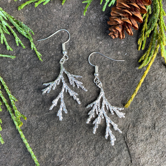 Two silver coated pieces of juniper sit on a black background. A silver earring hook is attached at the stem end of each juniper piece.