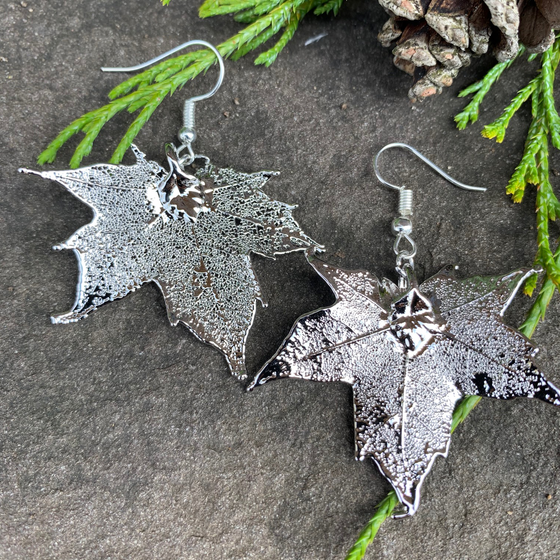 Two small silver coated maple leaves sit on a stone background. Each maple leaf has a silver earring hook attached to the stem end of the leaf. The silver has a bright finish. At the top of the picture are decorative evergreen leaves and a pine cone.