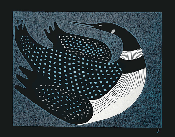 A large common loon looking over its shoulder.  Its black head, neck and beak are very slender. It has a white chest and collar. The spots on its black back are light blue and grey. The background is a faded blue with densely packed black hatch marks. This makes the background look dark and rough textured. This Canadian Indigenous print was created by Inuit artist Ningeokuluk Teevee, who was born in Cape Dorset, Nunavut.