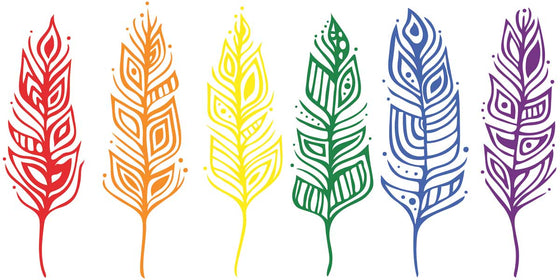 Six feathers in a row, from left to right the colours are red, orange, yellow, green, blue, and purple. The artist is Patrick Hunter, and he is an Ojibway, 2spirit, Woodland and graphic artist from Red Lake, ON.