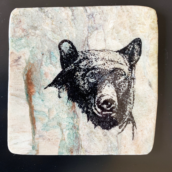 This coaster features the close up image of a black bear facing forward. The image is on a piece of canadian shield marble with mineral lines running through in unique colours, lines, and patterns. The coaster is finished with a clear coat, giving it a shiny finish. 