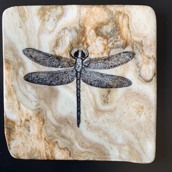 This coaster features the top down image of a dragonfly as rest. The image is on a piece of canadian shield marble with mineral lines running through in unique colours, lines, and patterns. The coaster is finished with a clear coat, giving it a shiny finish.  