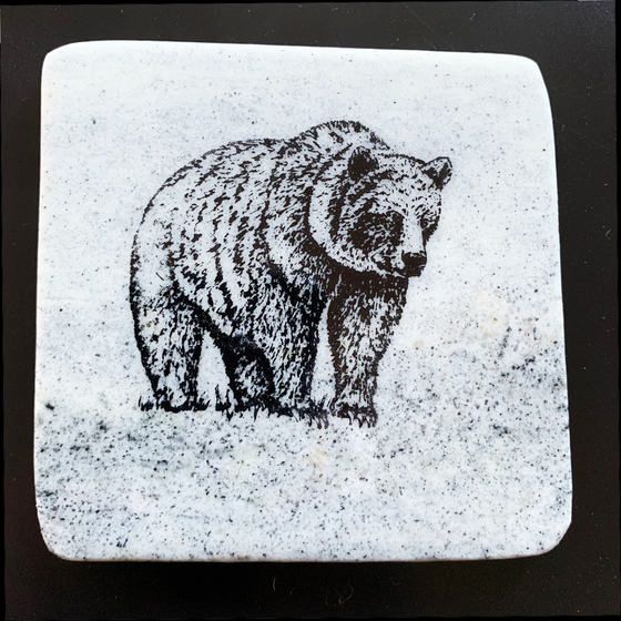 This coaster features the image of a bear as it stands in grass. The image is on a piece of canadian shield marble with mineral lines running through in unique colours, lines, and patterns. The coaster is finished with a clear coat, giving it a shiny finish. 
