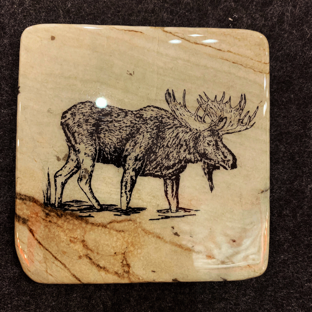 A second photo of a moose coaster