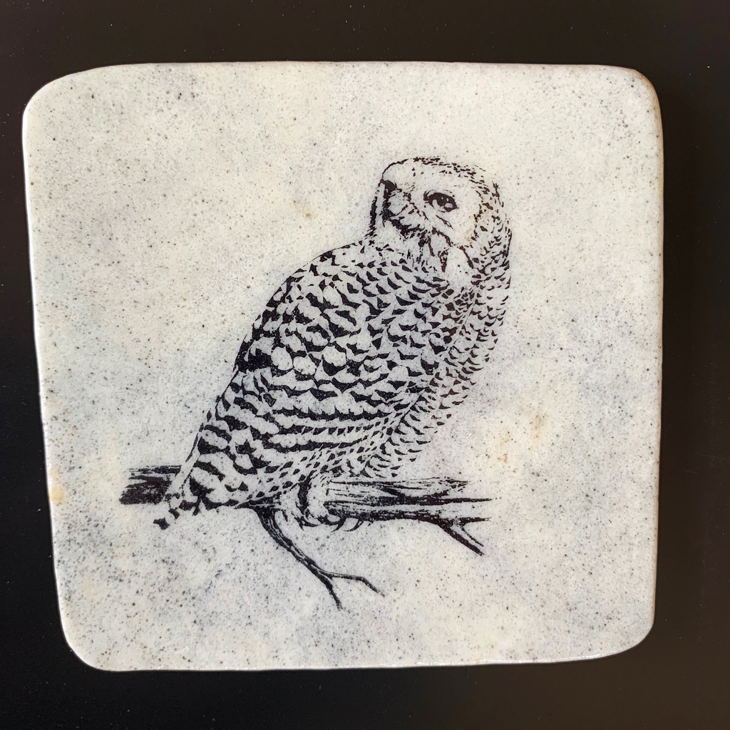 This coaster features the image of the rear side view of a snowy owl as it sits on a branch looking backwards. The image is on a piece of canadian shield marble with mineral lines running through in unique colours, lines, and patterns. The coaster is finished with a clear coat, giving it a shiny finish. 