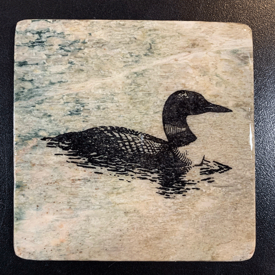 This coaster features the image of the sideview of a loon sitting on a lake. The image is on a piece of canadian shield marble with mineral lines running through in unique colours, lines, and patterns. The coaster is finished with a clear coat, giving it a shiny finish.