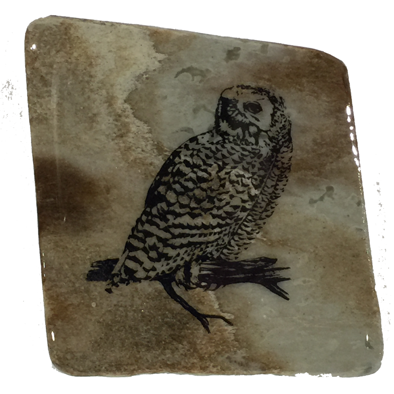 A second image of a snowy owl coaster