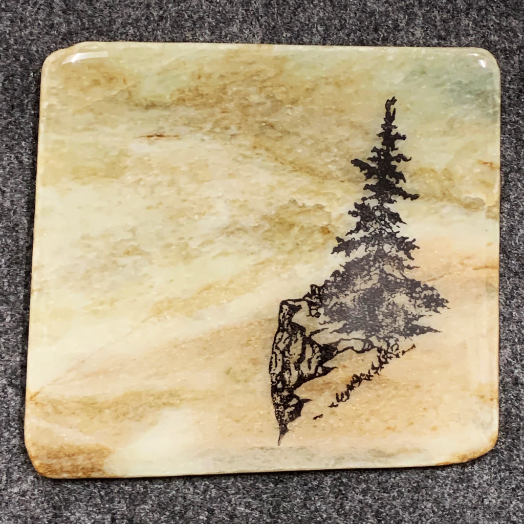 A second image of a single tree coaster