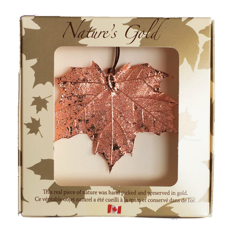A large copper coated maple leaf sits in a paper box. The top face of the box has a wide square viewing hole. The box is tan with gold maple leaf prints. At the top of the box is written Nature’s Gold. At the bottom is written “this real piece of nature was handpicked and preserved in gold” followed by “Ce véritable objet naturel a été cueilli à la main et conservé dans de l’or”