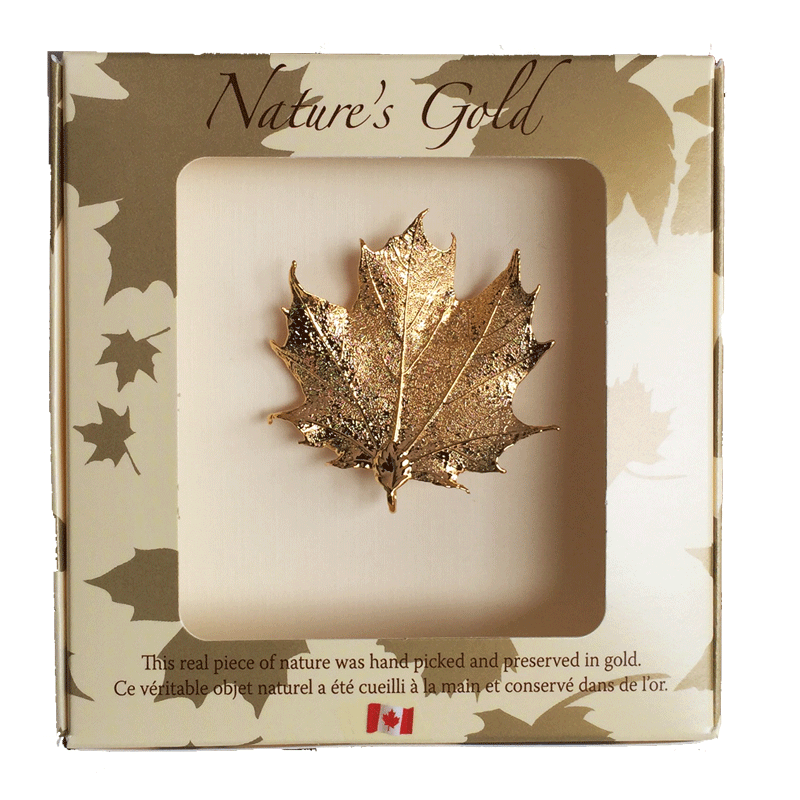 A small gold coated maple leaf sits in a paper box. The top face of the box has a wide square viewing hole. The box is tan with gold maple leaf prints. At the top of the box is written Nature’s Gold. At the bottom is written “this real piece of nature was handpicked and preserved in gold” followed by “Ce véritable objet naturel a été cueilli à la main et conservé dans de l’or”