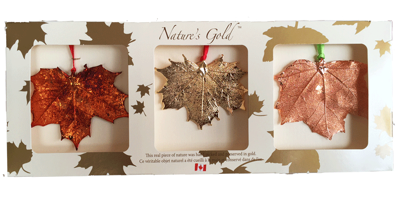 Three large metal coated maple leaves sit in a paper box. One is coated in gold, one in copper, and one in an iridescent orange and red metal. The top face of the box has three wide square viewing holes. The box is tan with gold maple leaf prints. At the top of the box is written Nature’s Gold. At the bottom is written “this real piece of nature was handpicked and preserved in gold” followed by “Ce véritable objet naturel a été cueilli à la main et conservé dans de l’or”