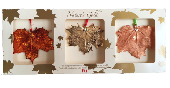 Three large metal coated maple leaves sit in a paper box. One is coated in gold, one in copper, and one in an iridescent orange and red metal. The top face of the box has three wide square viewing holes. The box is tan with gold maple leaf prints. At the top of the box is written Nature’s Gold. At the bottom is written “this real piece of nature was handpicked and preserved in gold” followed by “Ce véritable objet naturel a été cueilli à la main et conservé dans de l’or”