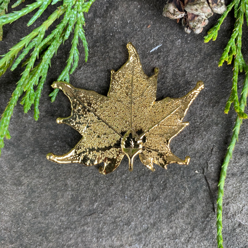 A small gold coated maple leaf sits on a stone background. The gold has a bright finish. At the top of the picture are decorative evergreen leaves and a pine cone.