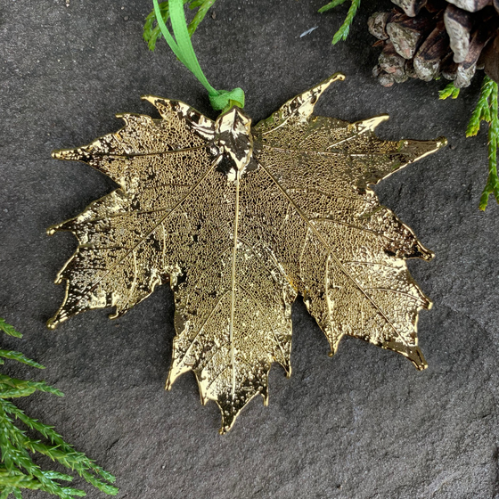 A large gold coated maple leaf sits on a stone background. A green ribbon is tied to the stem end of the leaf. The gold has a bright finish. Around the picture are decorative evergreen leaves and a pine cone.