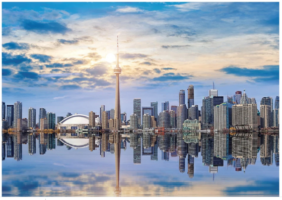 Toronto Skyline Puzzle - 1001 Piece