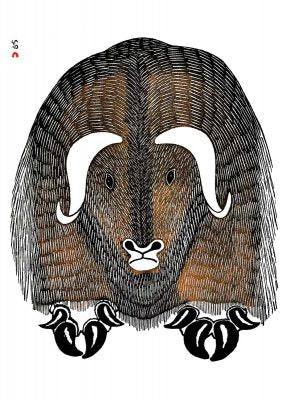 A large musk ox faces the viewer. It has two white curling horns, and a white muzzle. Its fur is black and brown and appears coarse. Its front hooves each end in four black, curling nails. This Canadian Indigenous print was painted by Kananginak Pootoogook, an Inuit artist born in the Ikerrasak camp in Nunavut. His signature is at the top left.