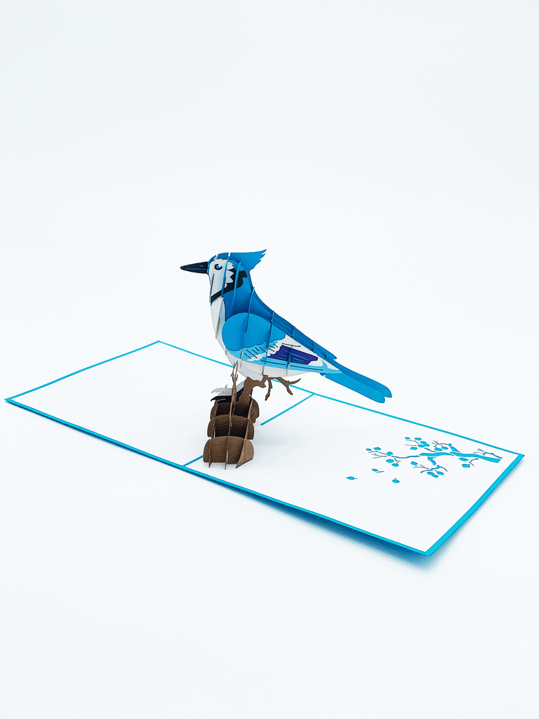 Inside of pop-up card. 3-D Blue Jay on tree branch. Image of tree branch flat on the page in corner of card.