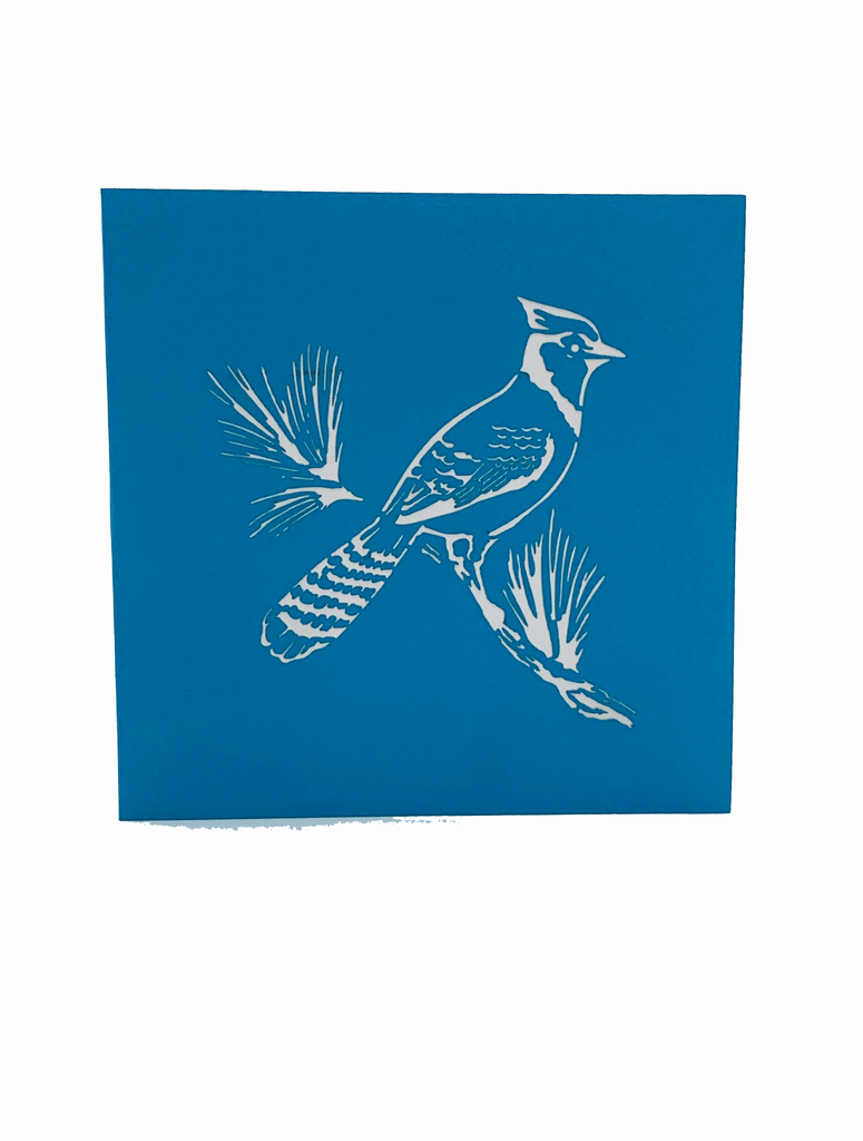 3D pop-up art card of a vibrant blue jay perching on a branch 